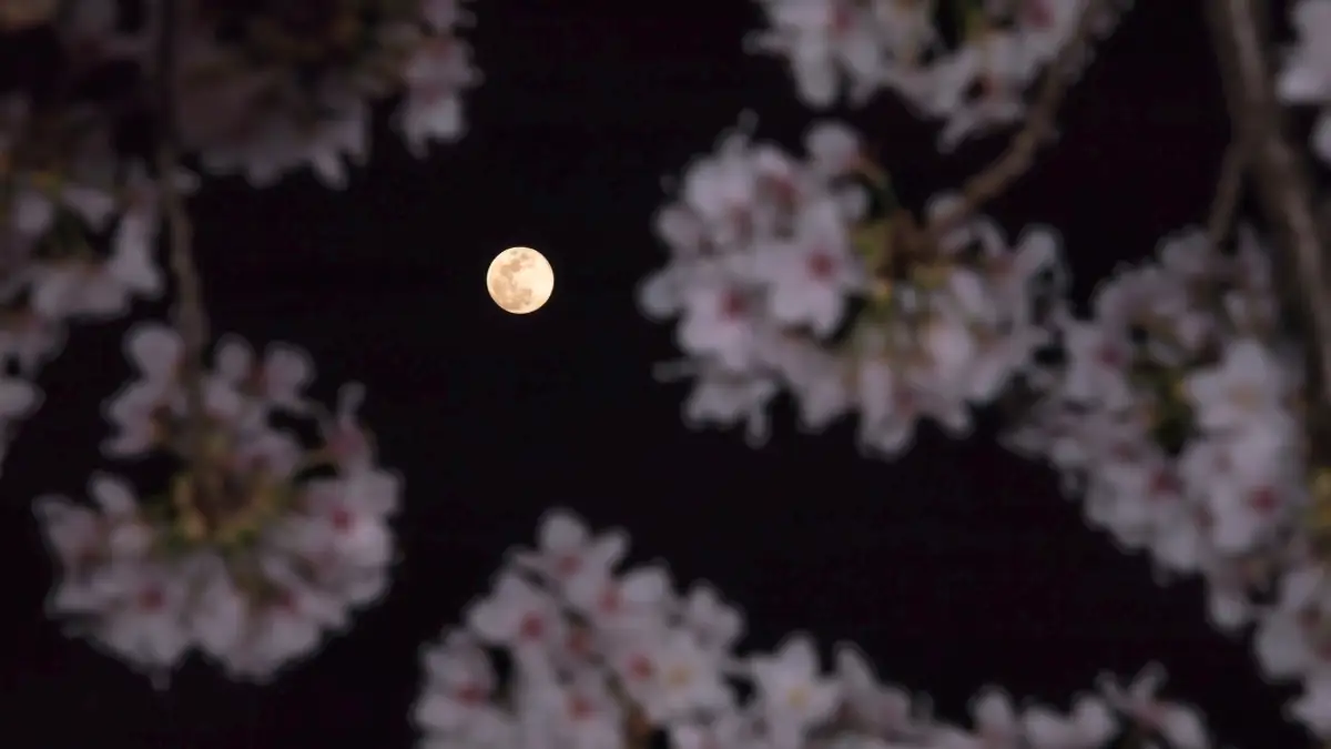 Luna llena