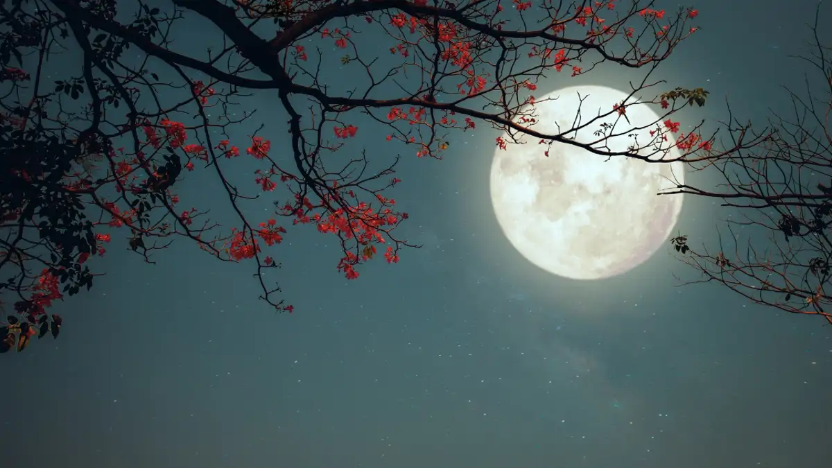 Luna llena 