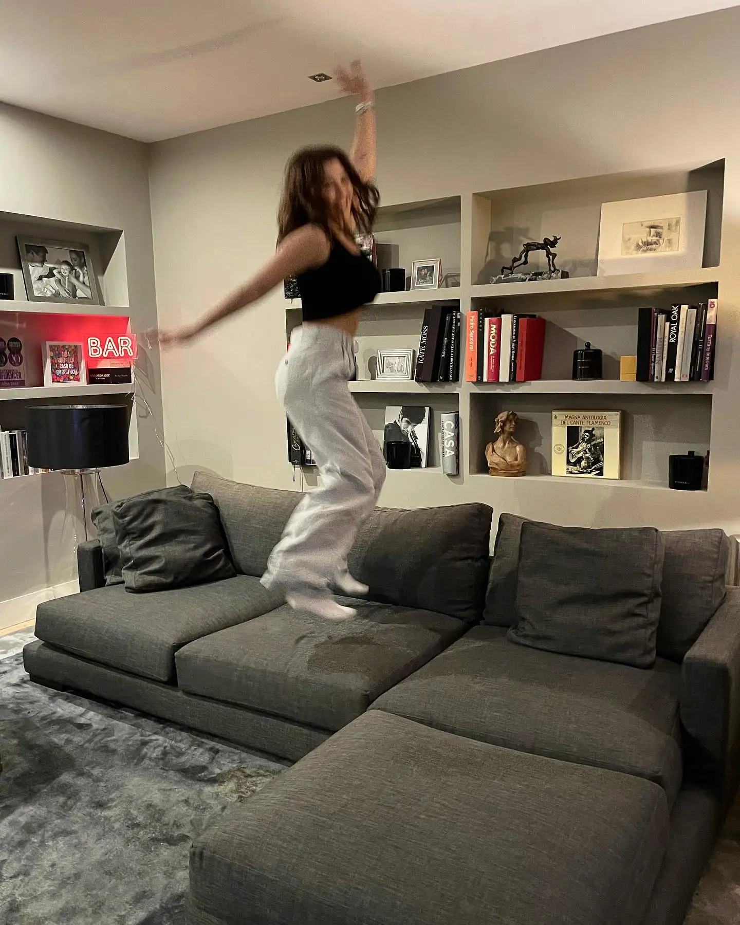 Un salón con estanterías de pladur...
