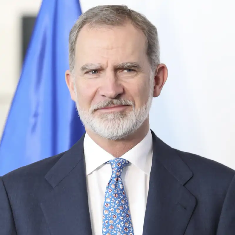 Una experta advierte sobre Felipe VI: "Ha conseguido que su presencia se vea destacada por sí mismo y no por la ropa"