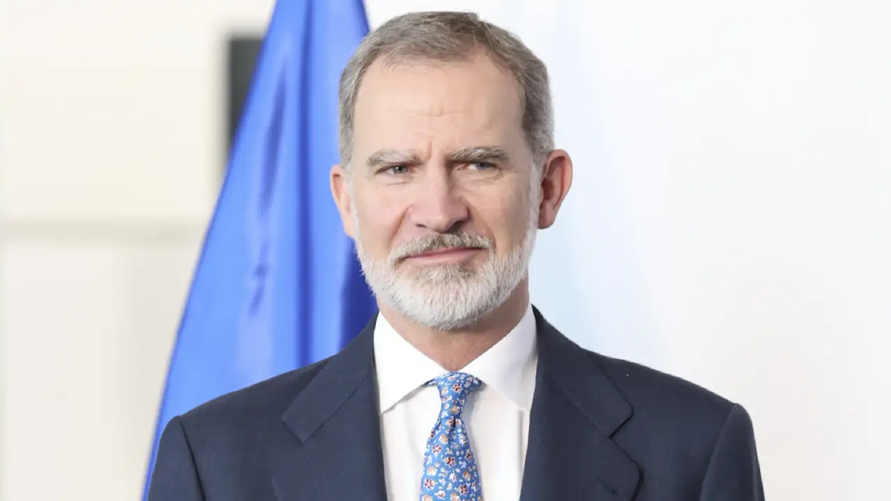 Una experta en imagen advierte sobre el rey Felipe VI: "Ha conseguido que su presencia se vea destacada por sí mismo y no por la ropa"