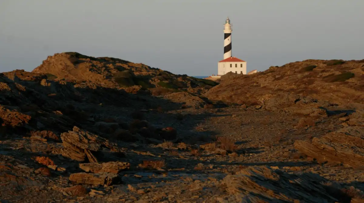 Faro