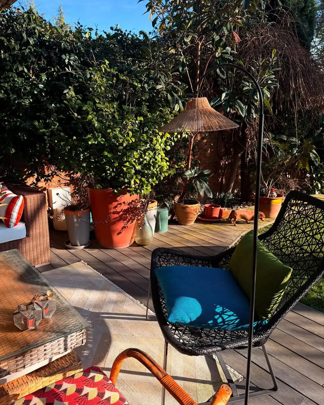 Un terraza de estilo rústico con mucho verde