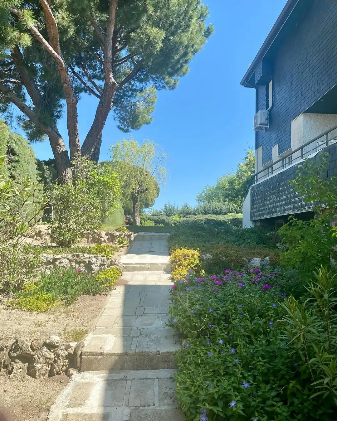 Una entrada con un camino de piedras y mucha vegetación