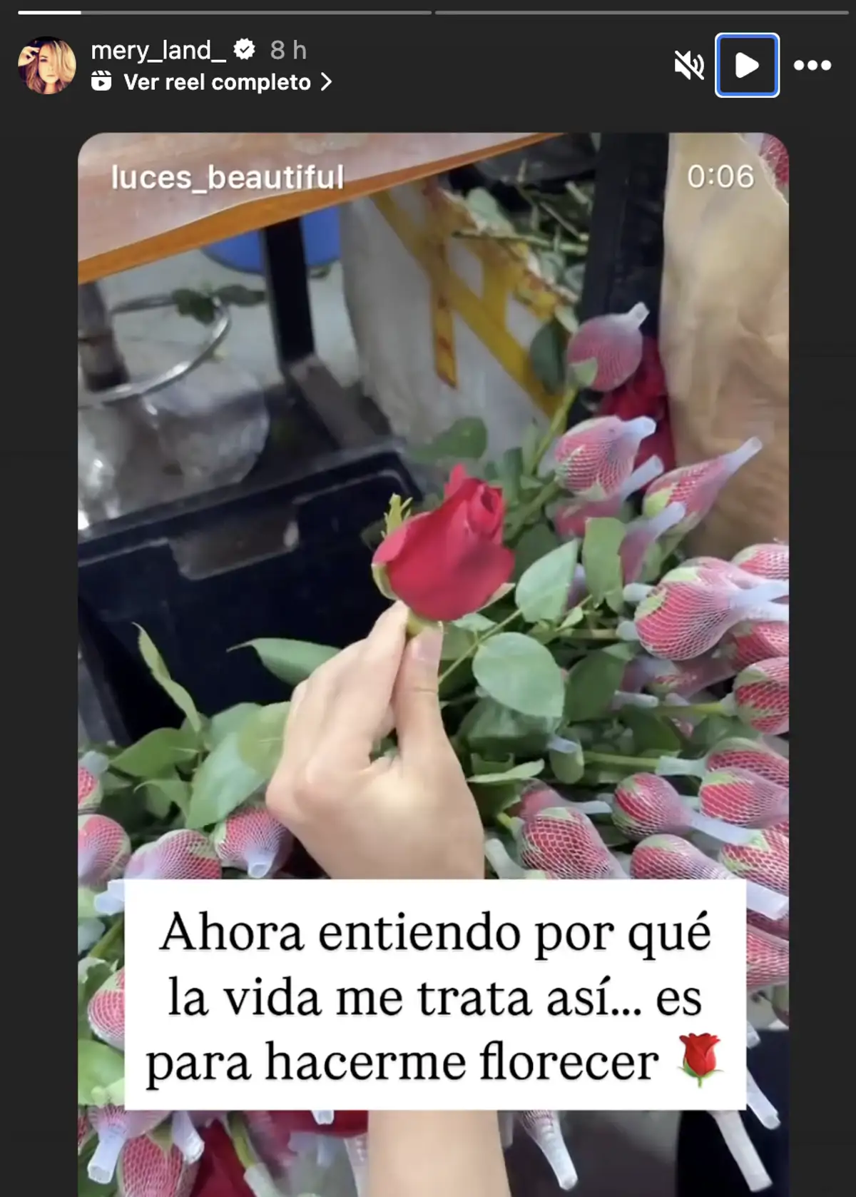 La reflexión de María José 