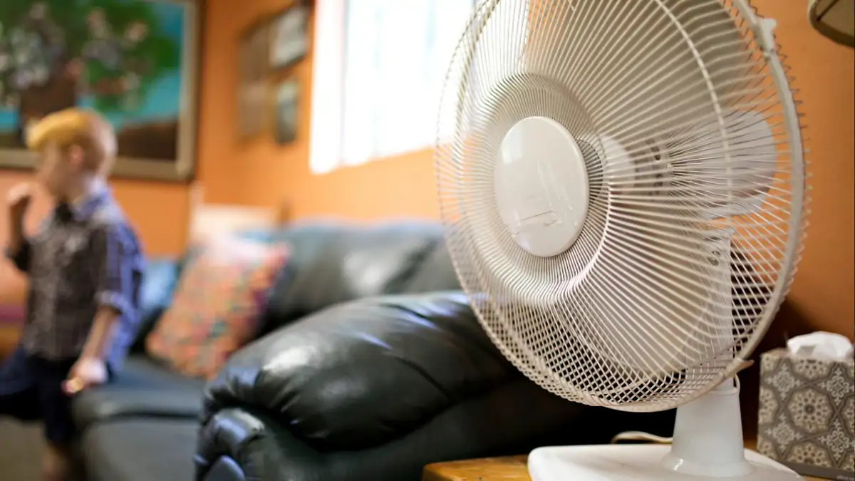 ventilador
