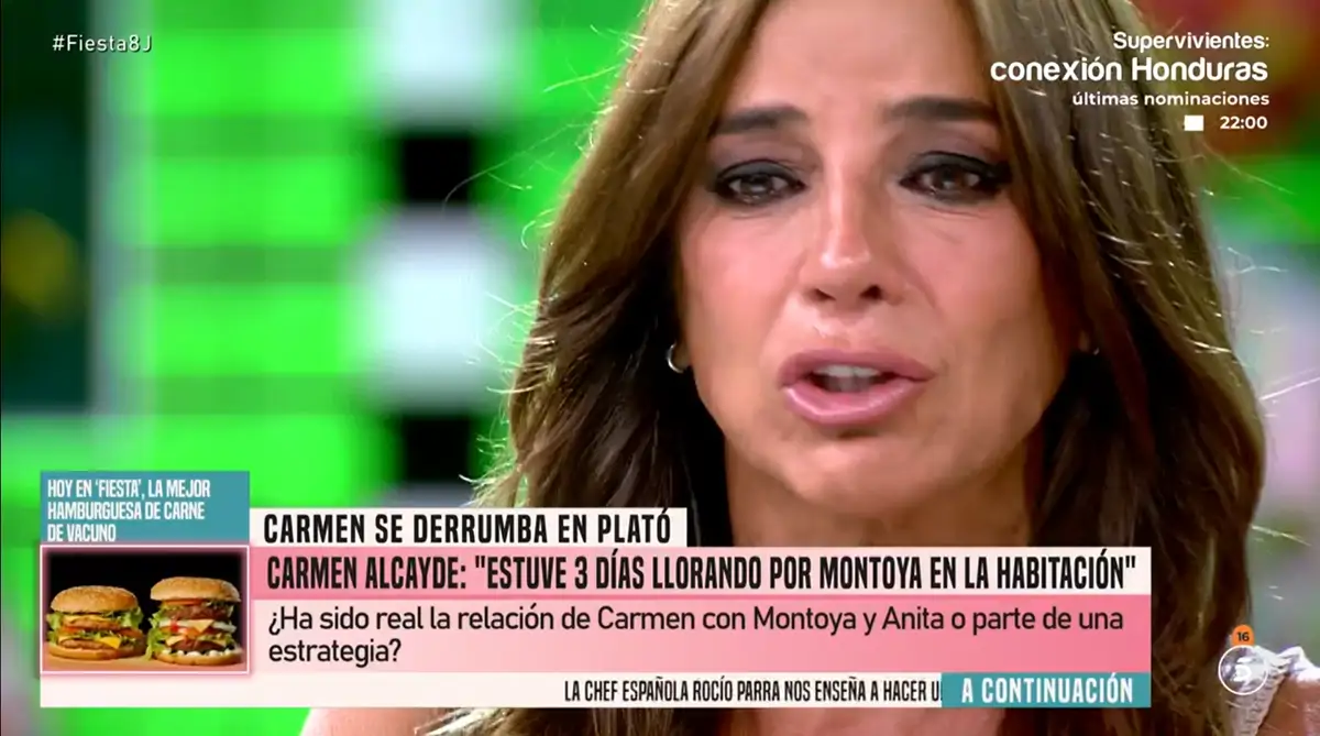 Carmen Alcayde