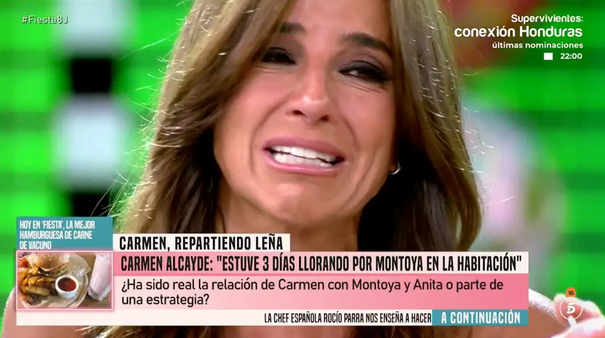 Carmen Alcayde
