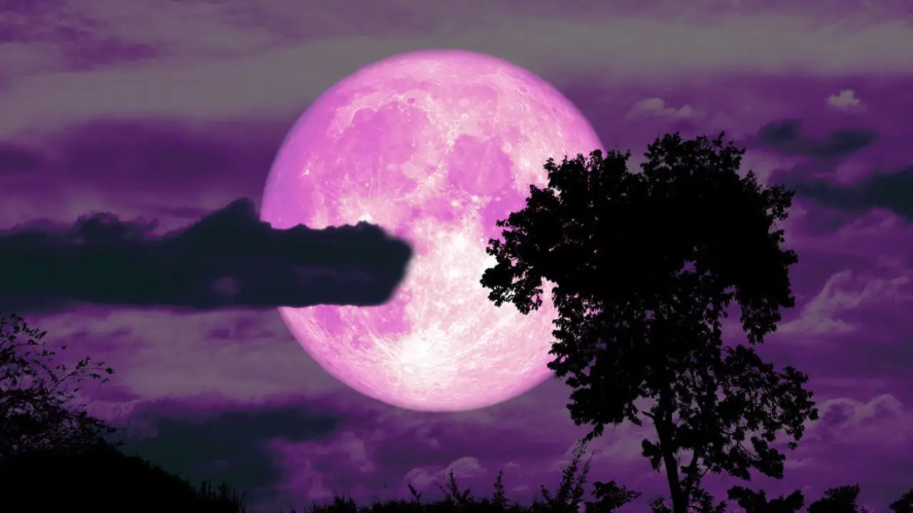 Luna de fresa