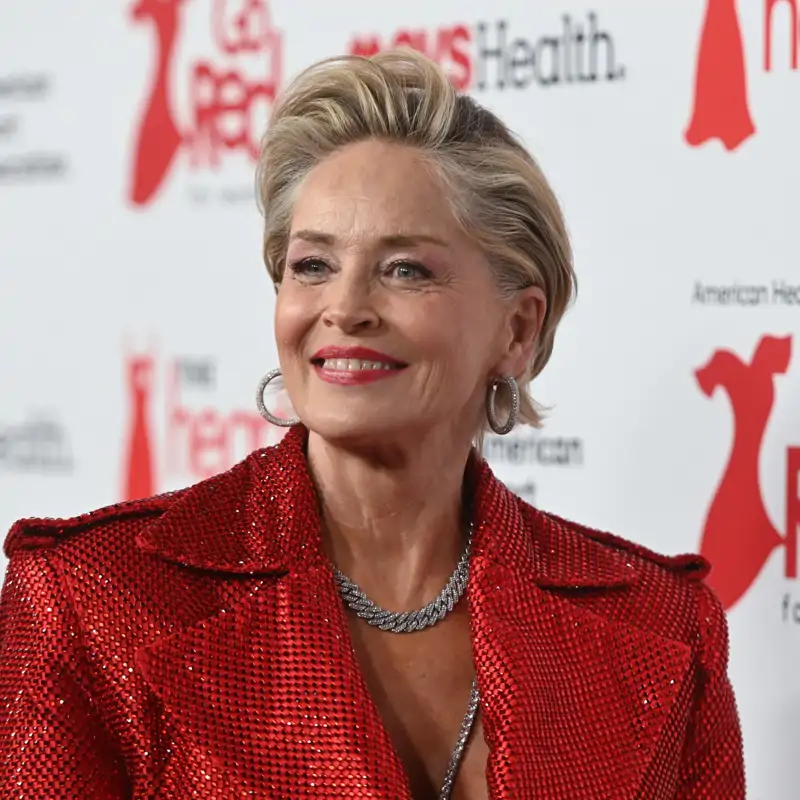 Sharon Stone (67 años): “Tenía unos brazos preciosos y ahora son fuertes y vistosos, como alas de ángel” 