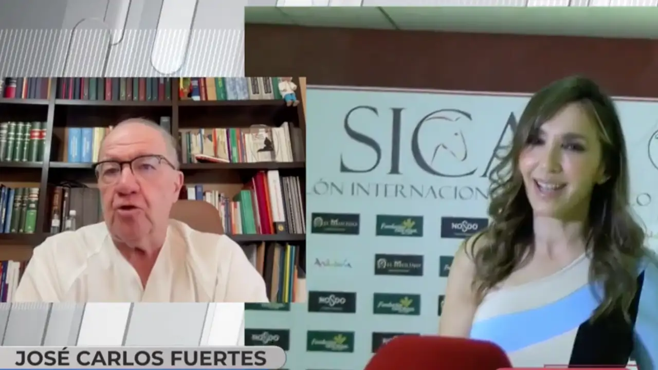 El psiquiatra forense José Carlos Fuertes