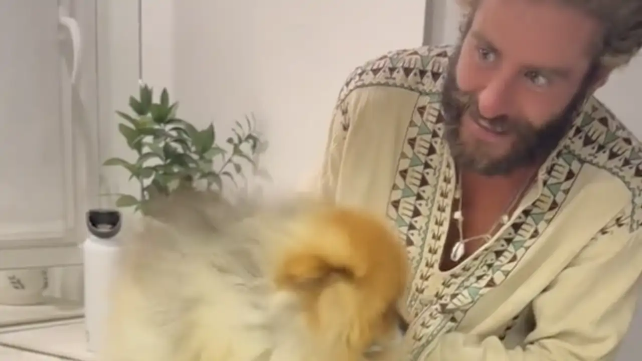 Así ha sido el curioso reencuentro de Pelayo con su perro, Vidu, tras 'Supervivientes 2025': "Hay cosas que no cambian"