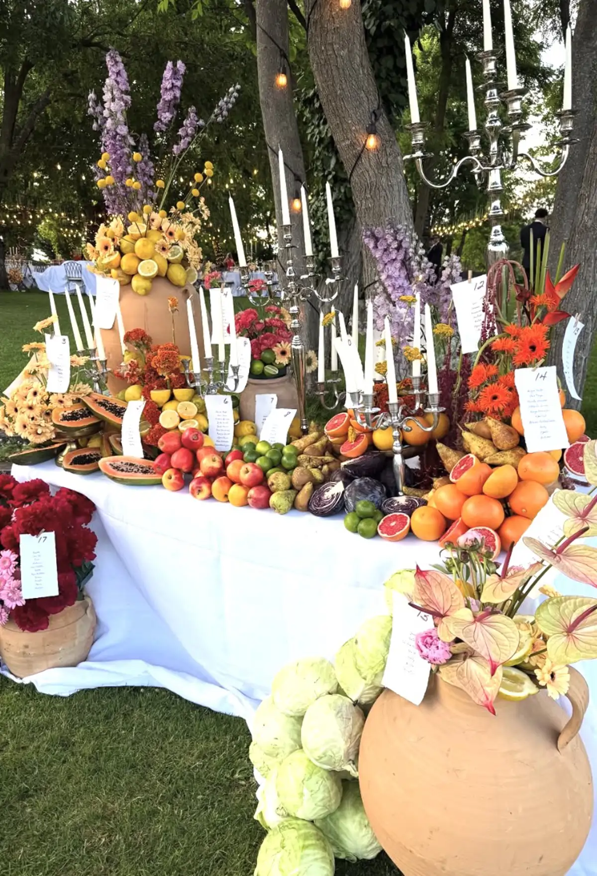 Boda Susana Molina
