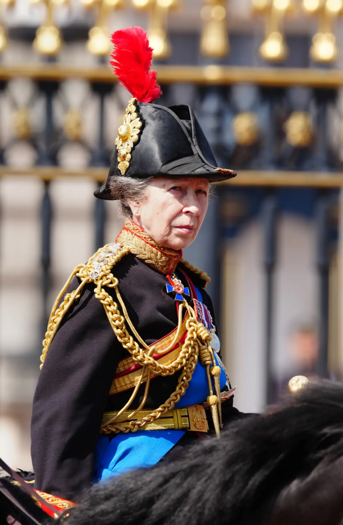 Princesa Ana