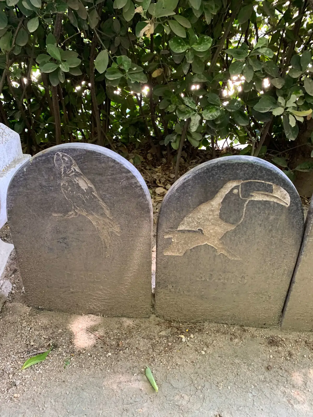 cementerio