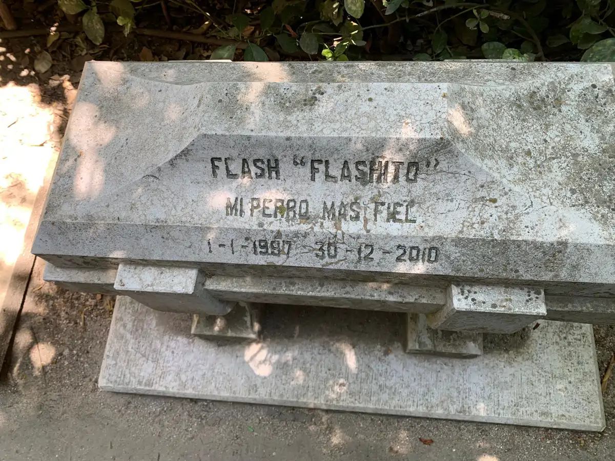 flashito