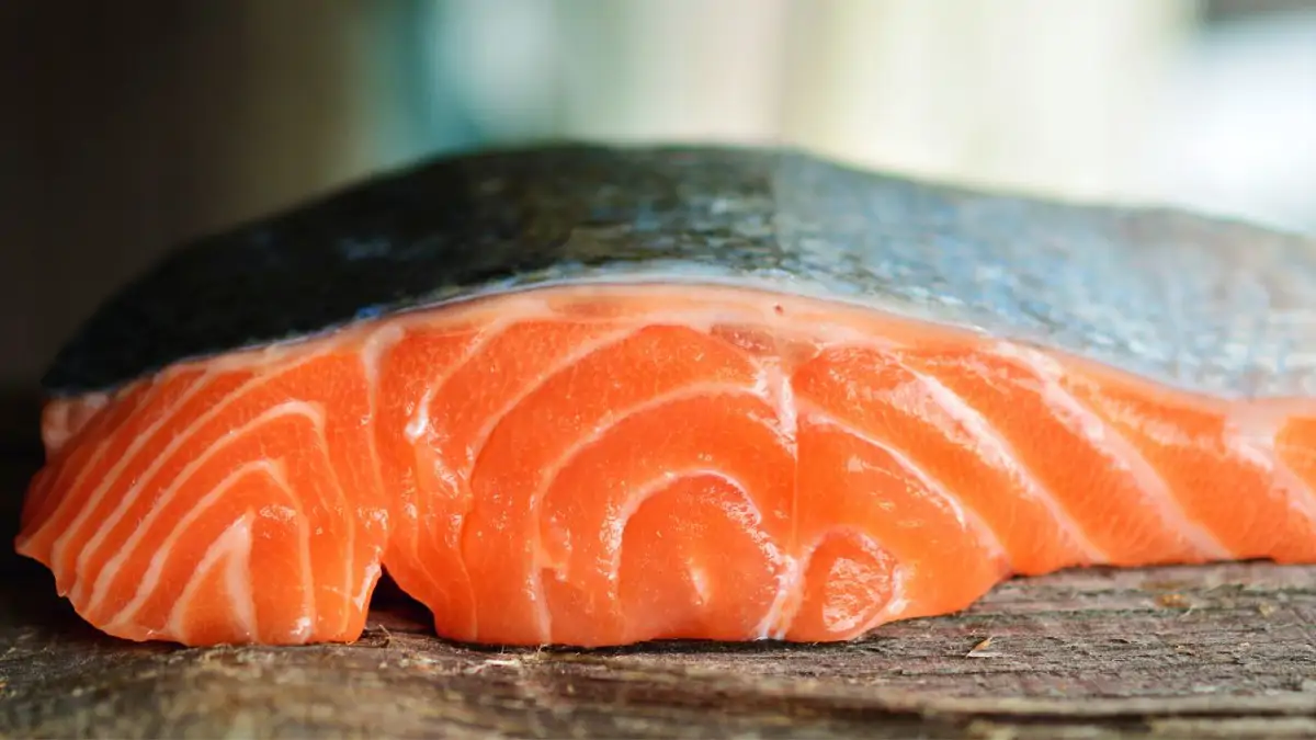 Salmón