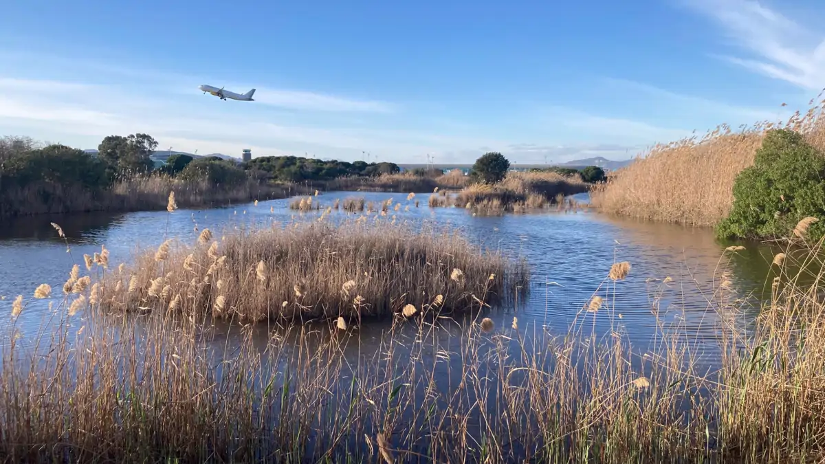 Parque Natural del Delta del Llobregat