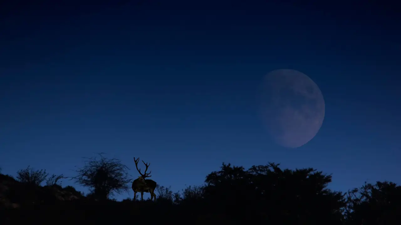 la Luna del Ciervo