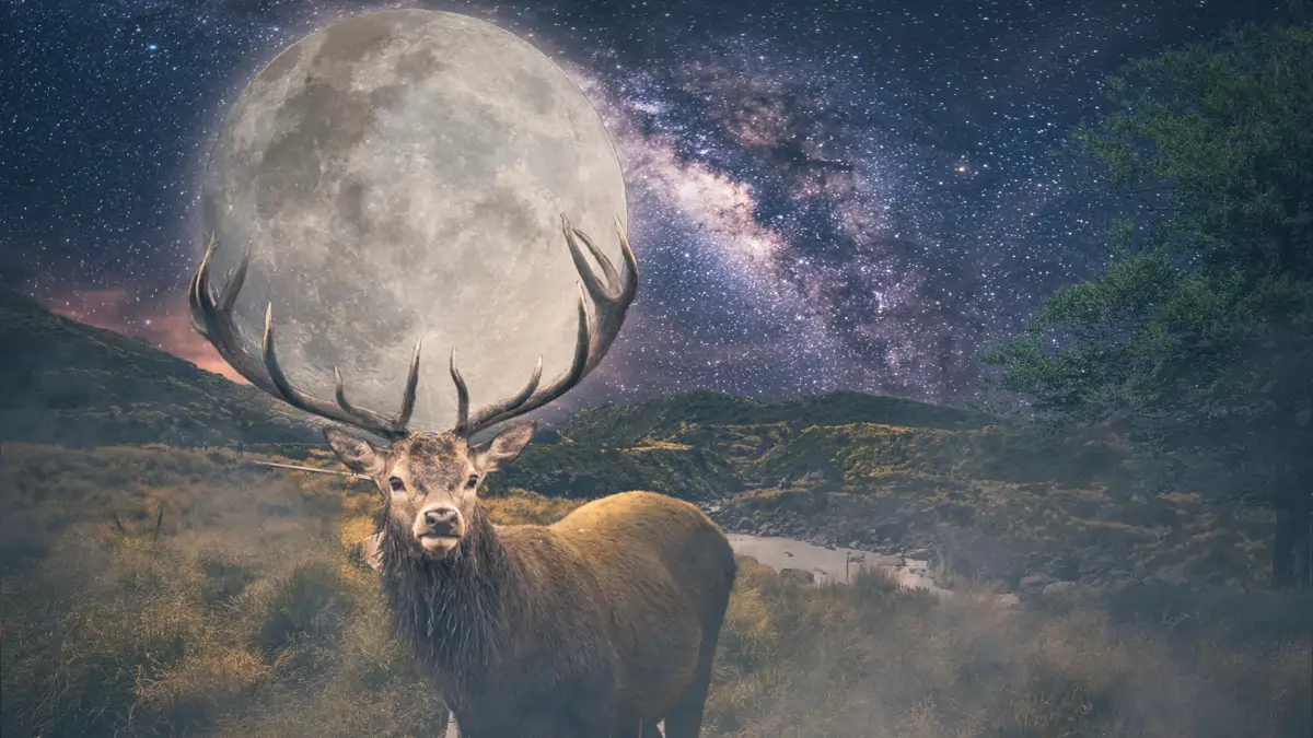 la Luna del Ciervo 