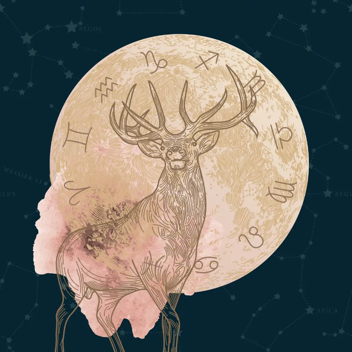 la Luna del Ciervo 