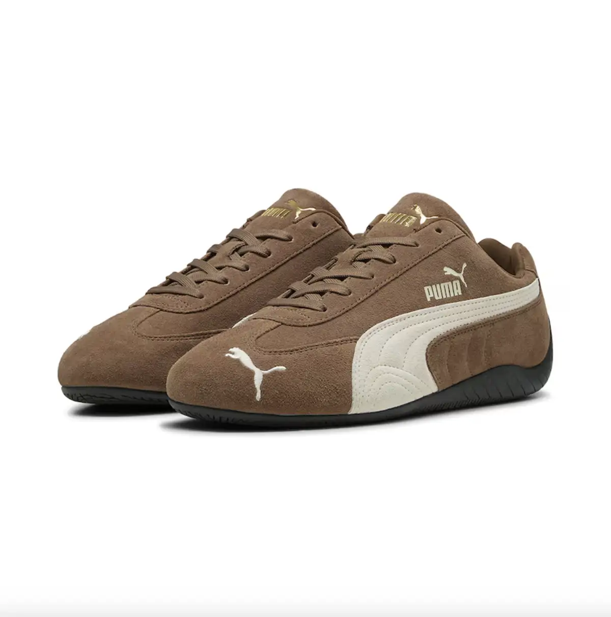 puma