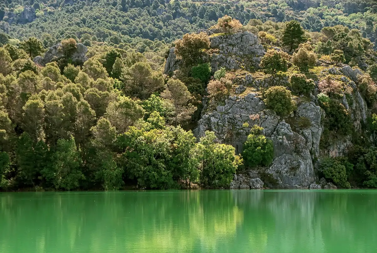 CAzorla 