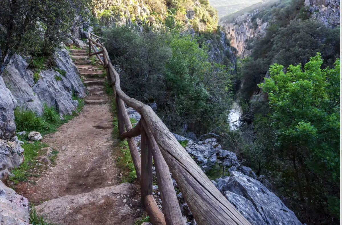 Cazorla