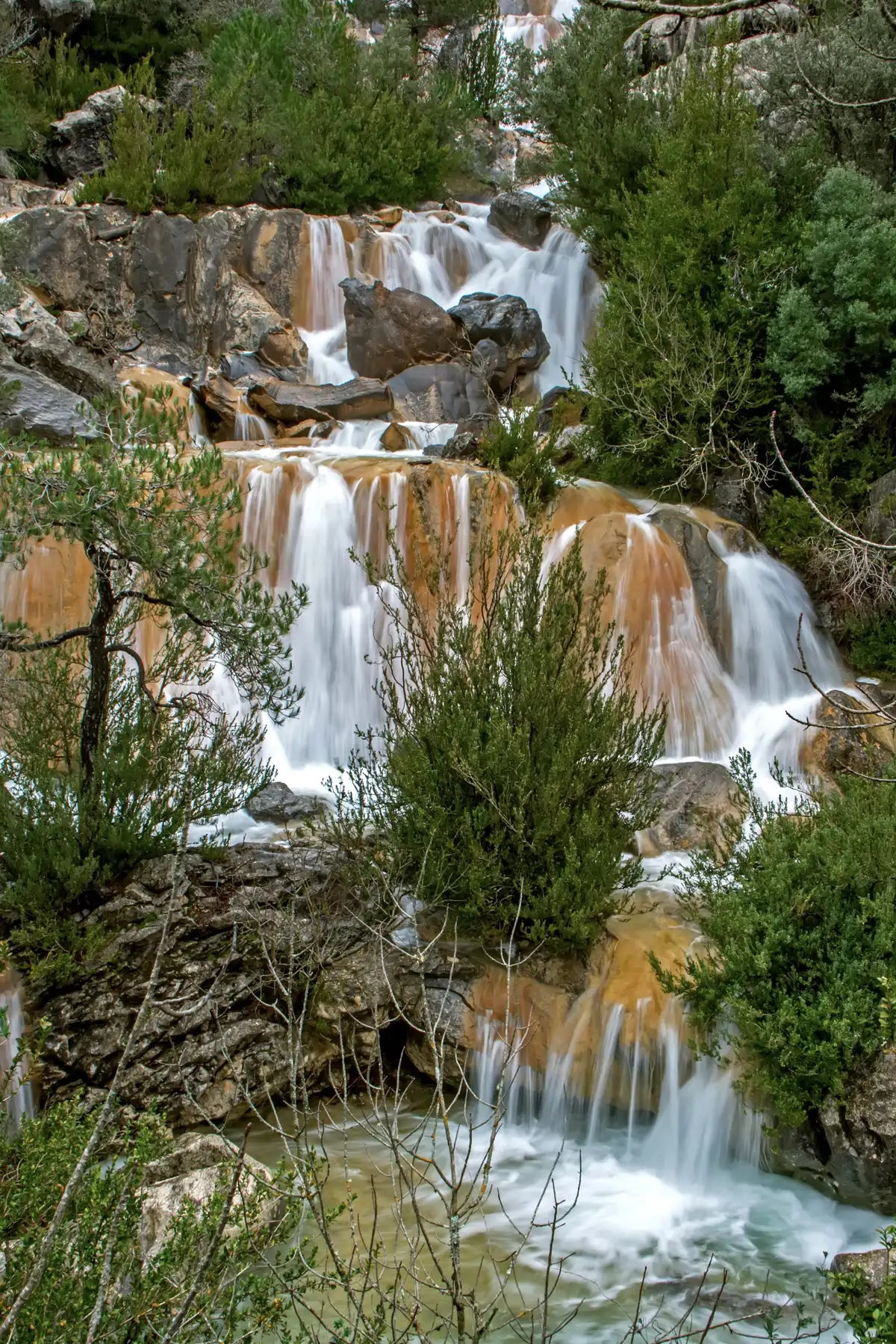 Cazorla